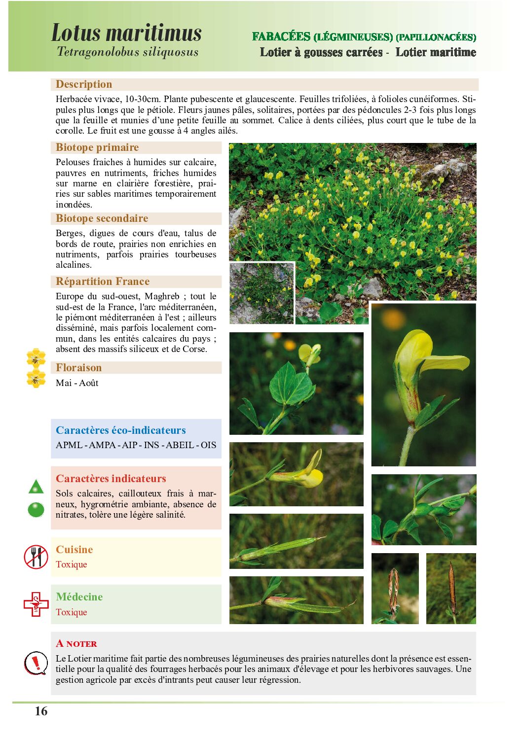 SOUSCRIPTION - Encyclopédie des plantes bio-indicatrices et éco-indicatrices - Volume 4 – Image 3
