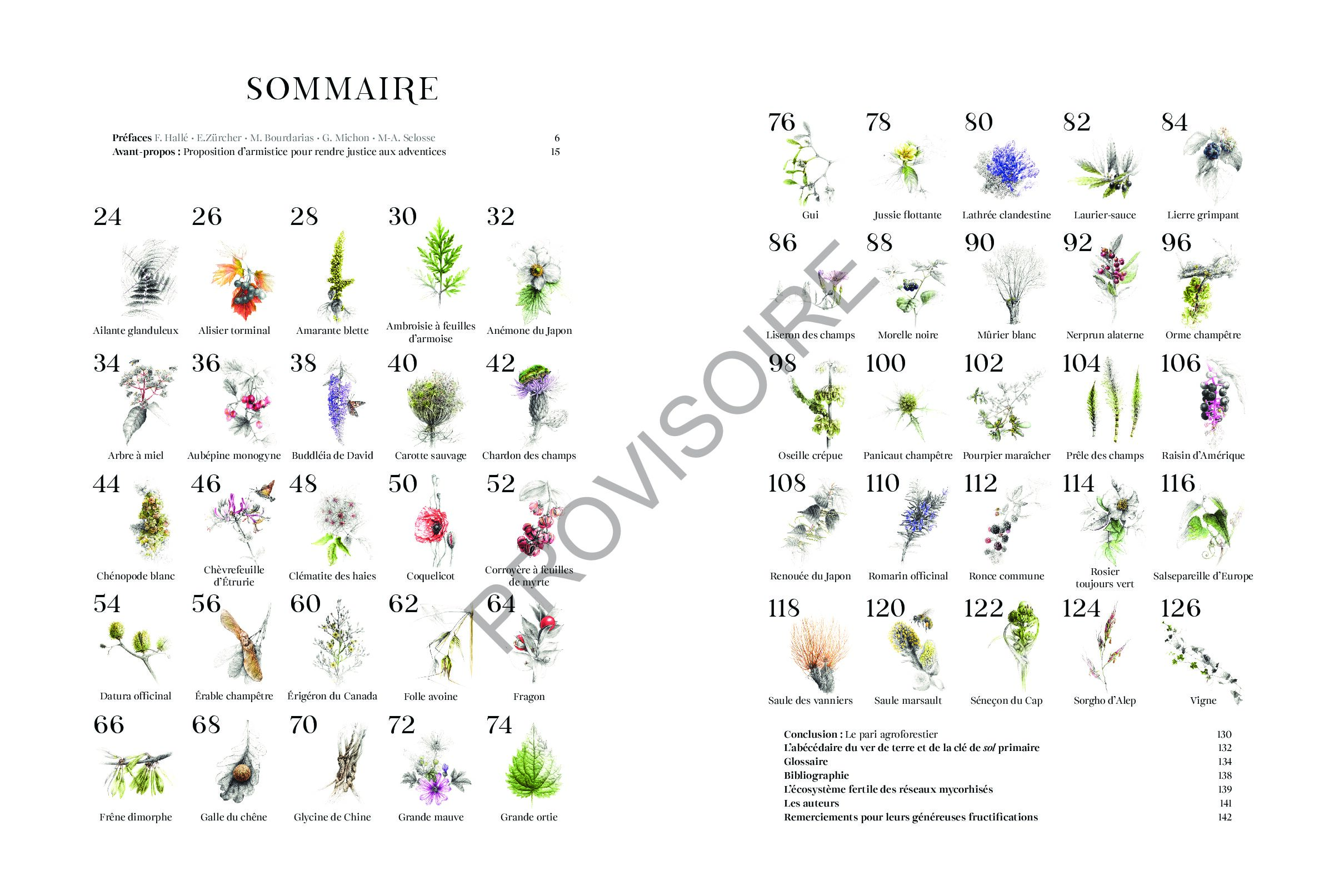 Éloge des indisciplinées – Image 7