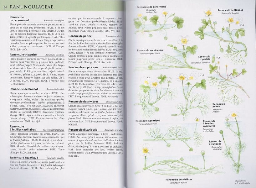 Guide Delachaux des fleurs de France et d’Europe Promonature Guide Delachaux des fleurs de France et d’Europe Promonature